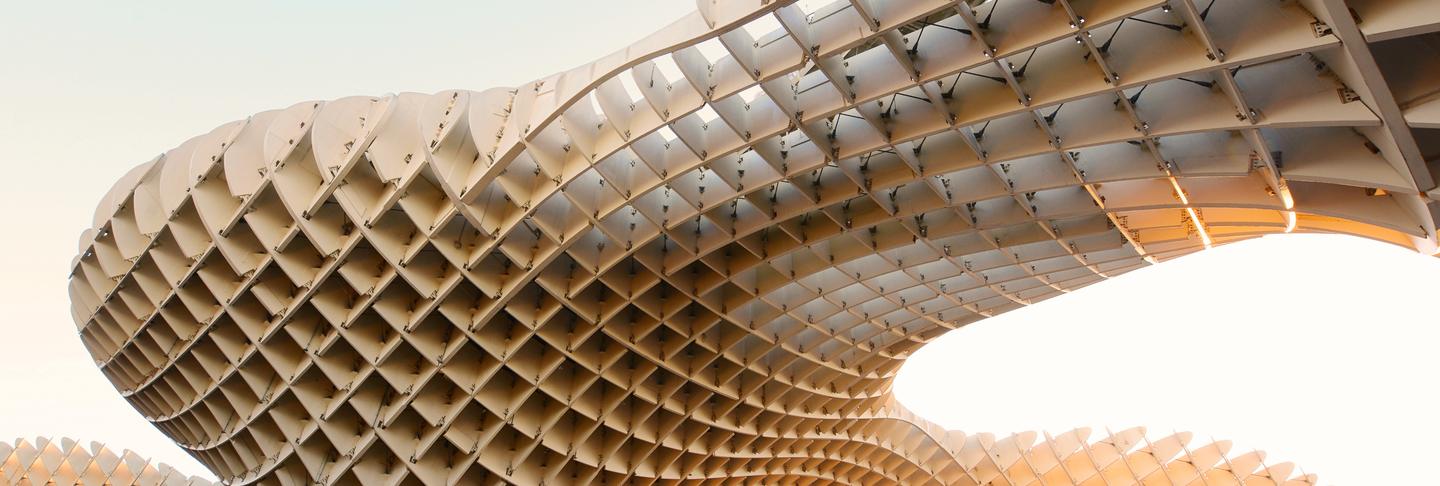 A curved wooden lattice roof against a pale sky