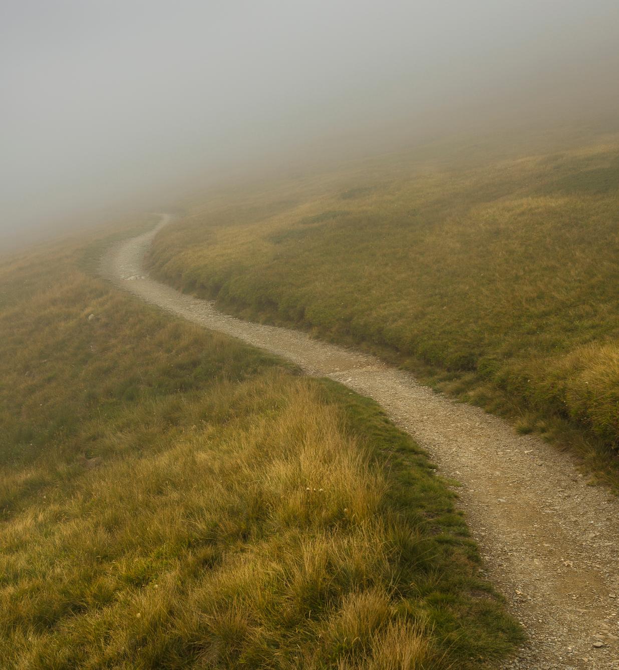 A footpath winding through grass into the fog